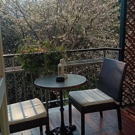 Oasi Apartament *